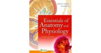 Image of Essentials of anatomy and physiology