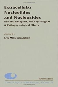 Image of Extracellular Nucleotides